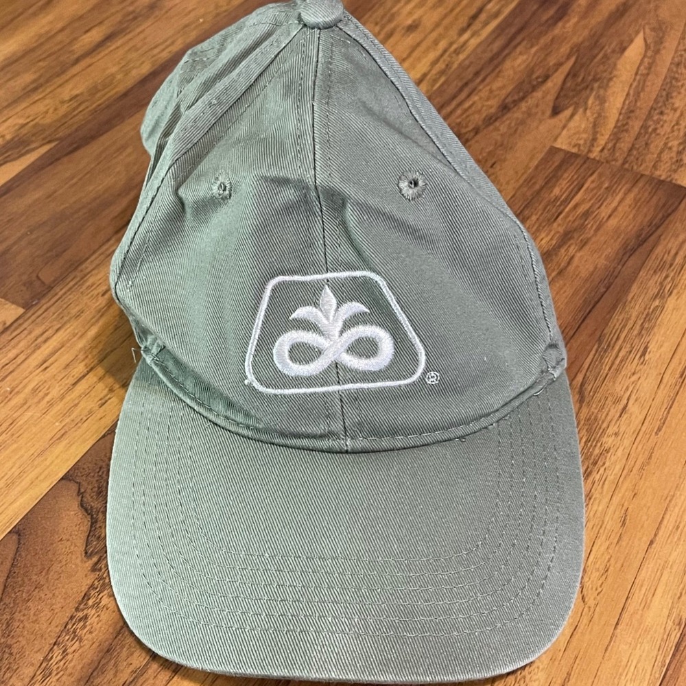 Pioneer DuPont Seed Hat Mens OSFA Olive Green Agriculture Logo Dad Cap Cotton